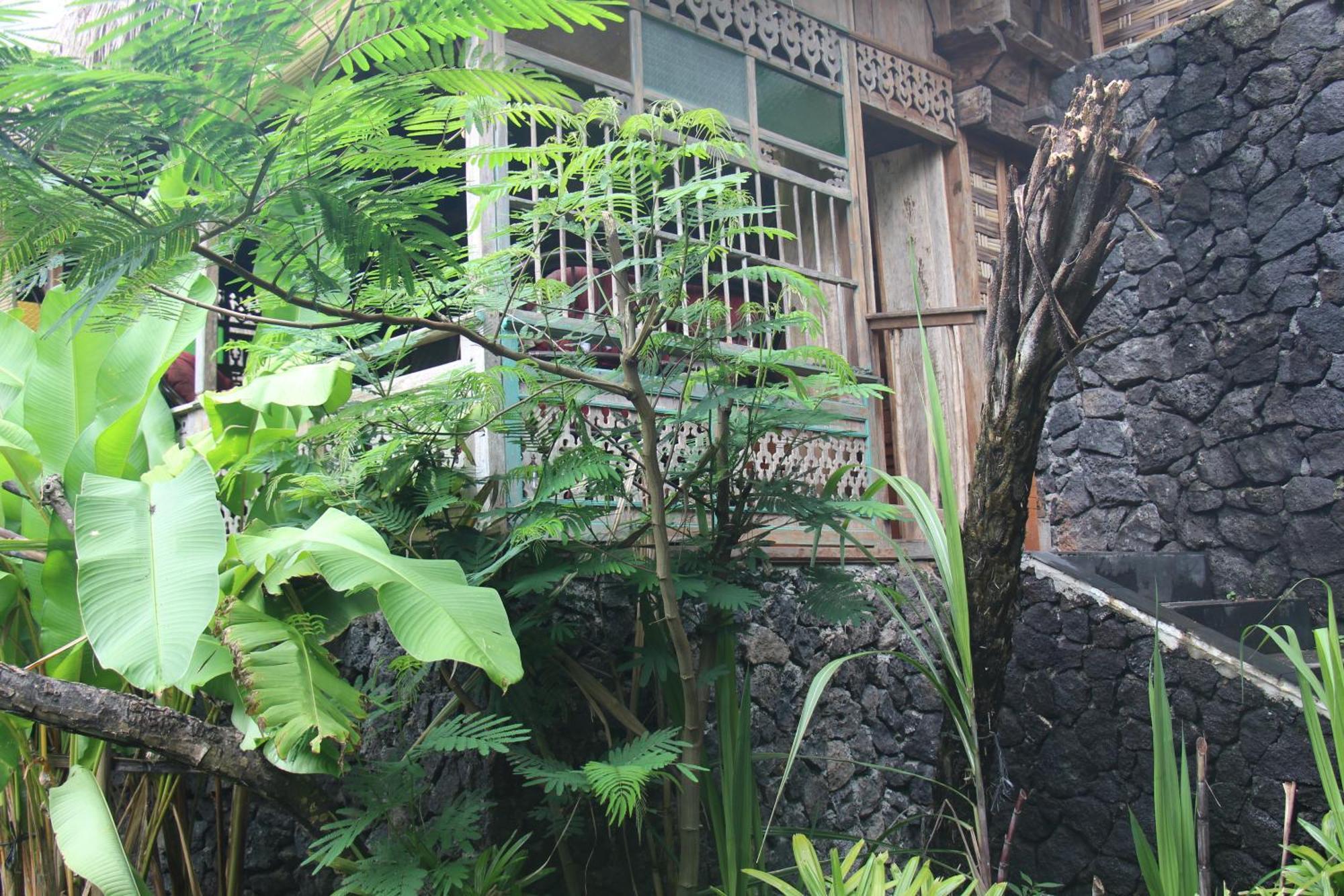 Geopark Village Kintamani Esterno foto
